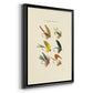 Bass Flies I - Modern Framed Canvas Print