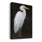 White Heron Portrait I  Premium Gallery Wrapped Canvas - Ready to Hang