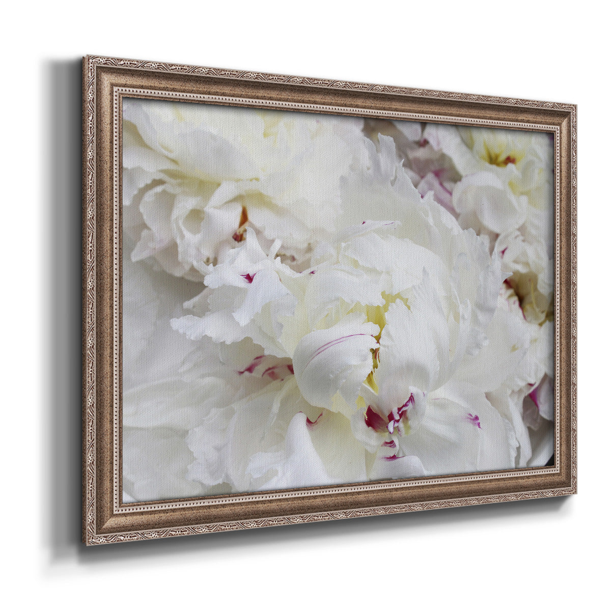Breathless VI - Ornate Framed Canvas Print