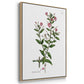 Rose Botanical I - Framed Premium Gallery Wrapped Canvas L Frame 3 Piece Set - Ready to Hang