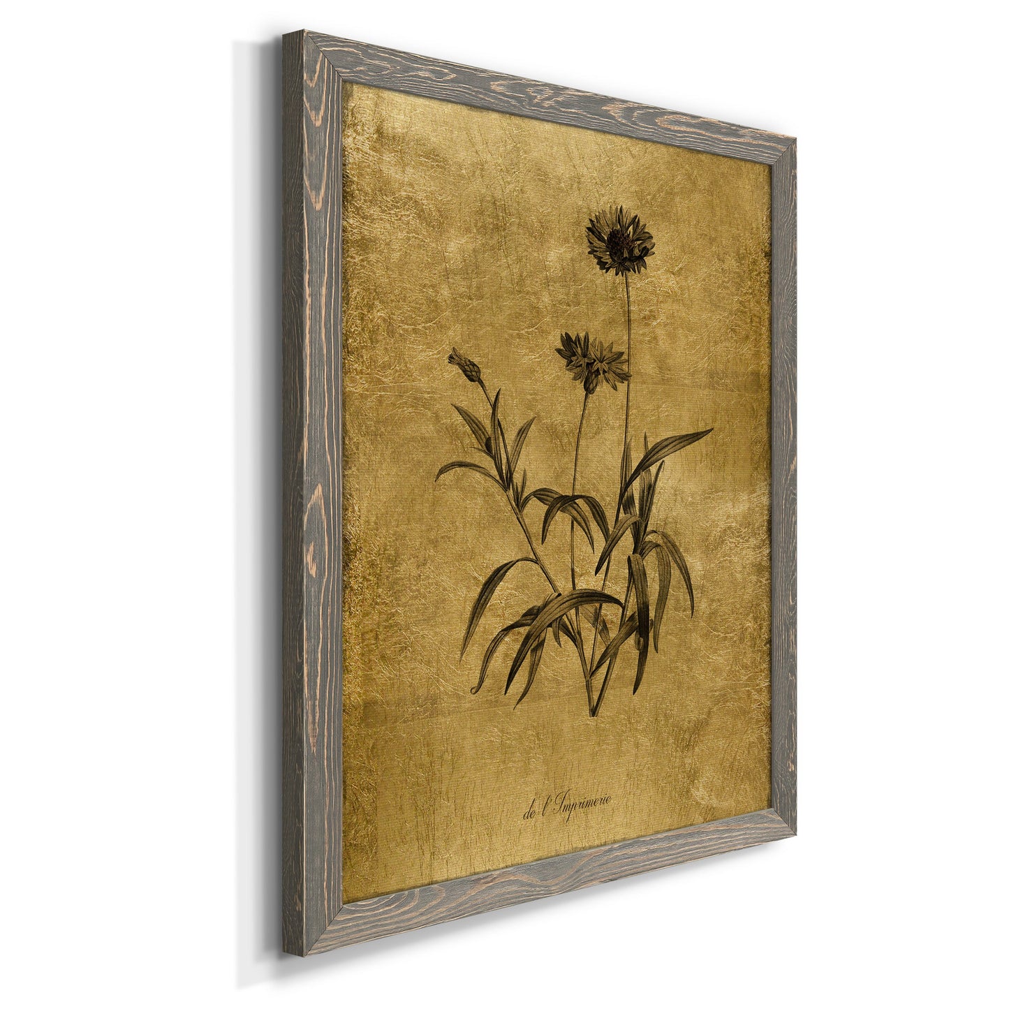 Gold Sketch Botanical I - Premium Canvas Framed in Barnwood - Ready to Hang