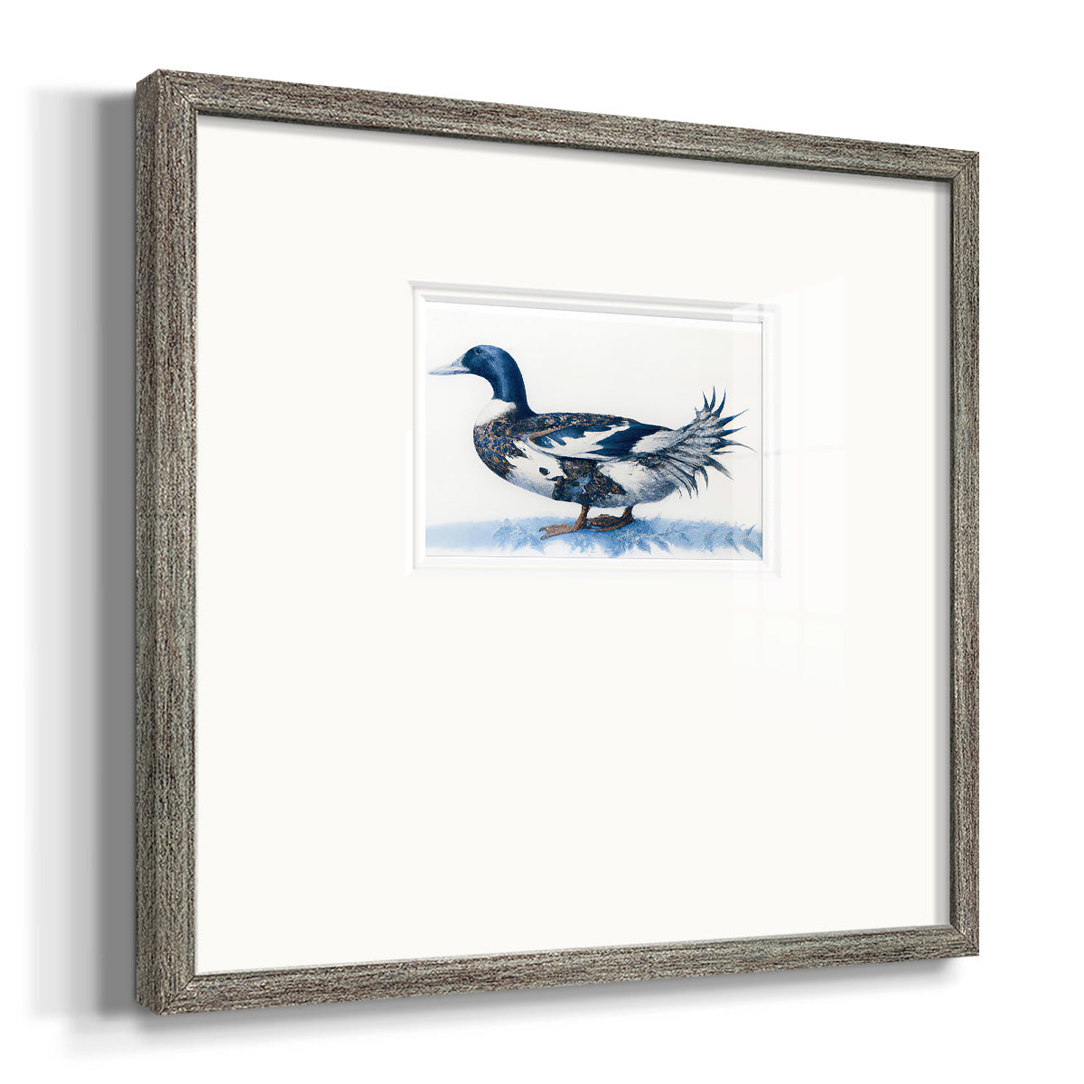 Mallard Blue II - Double Matboard Framed Print