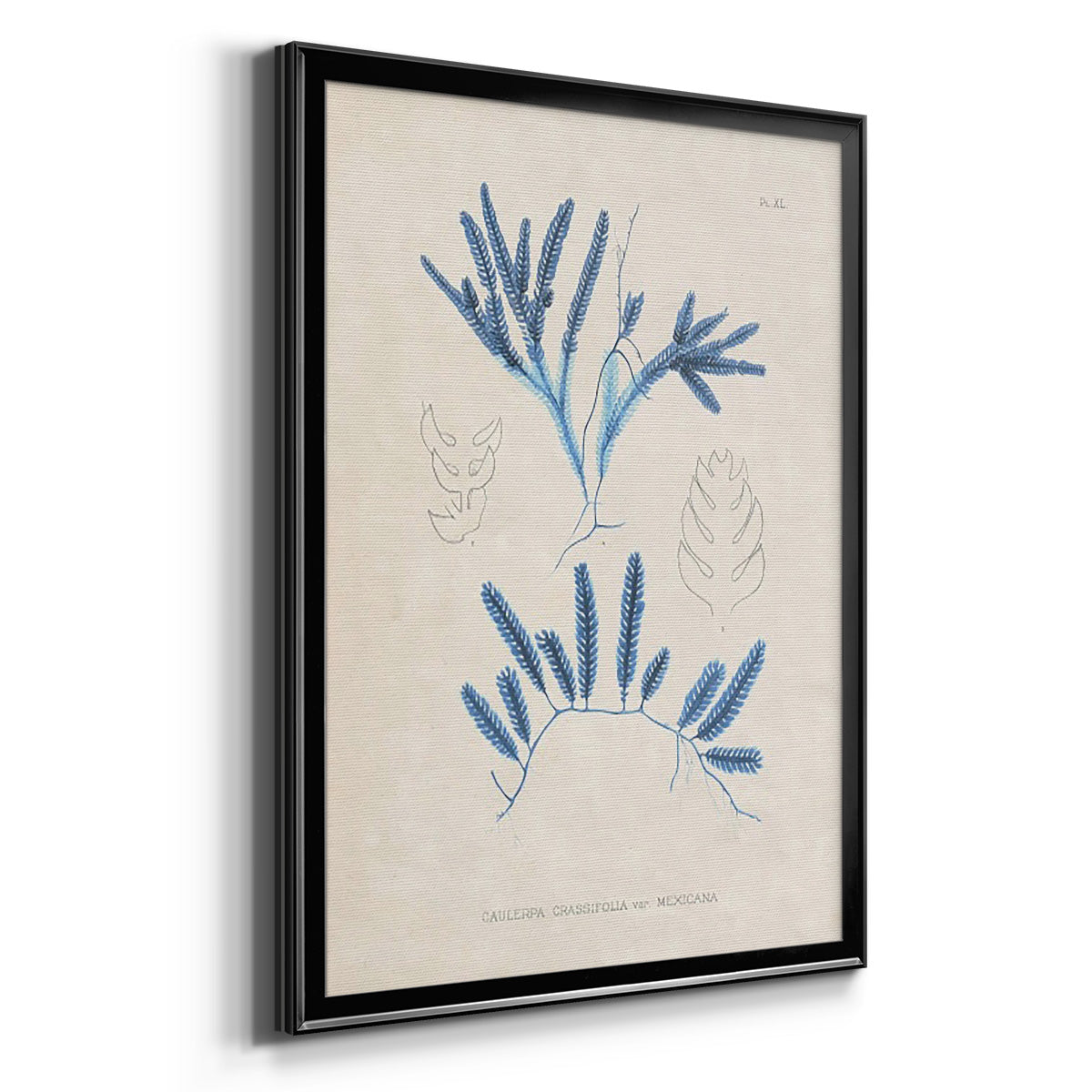 Blue Marine Algae I - Modern Framed Canvas Print