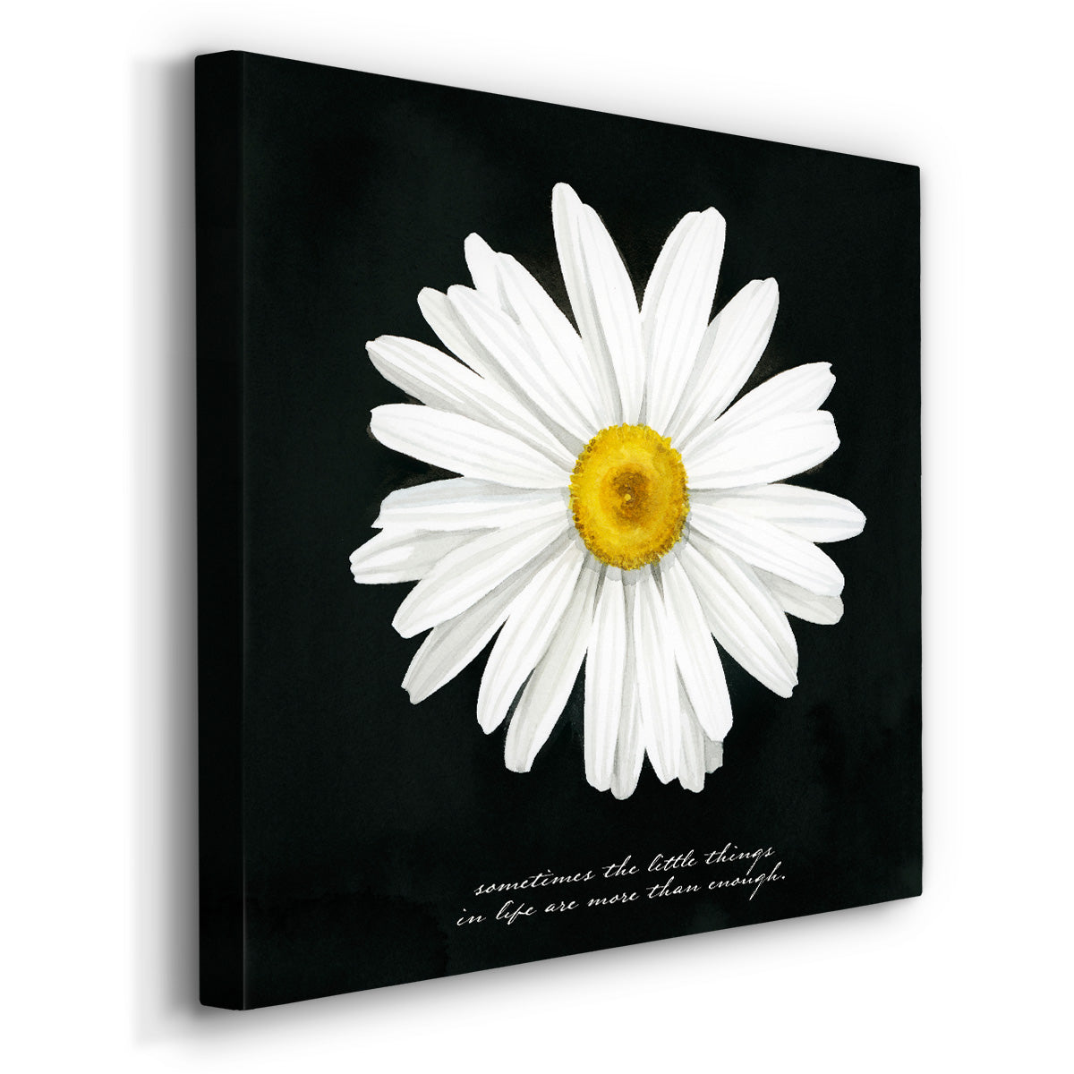 Delicate Daisy I - Canvas Art Print