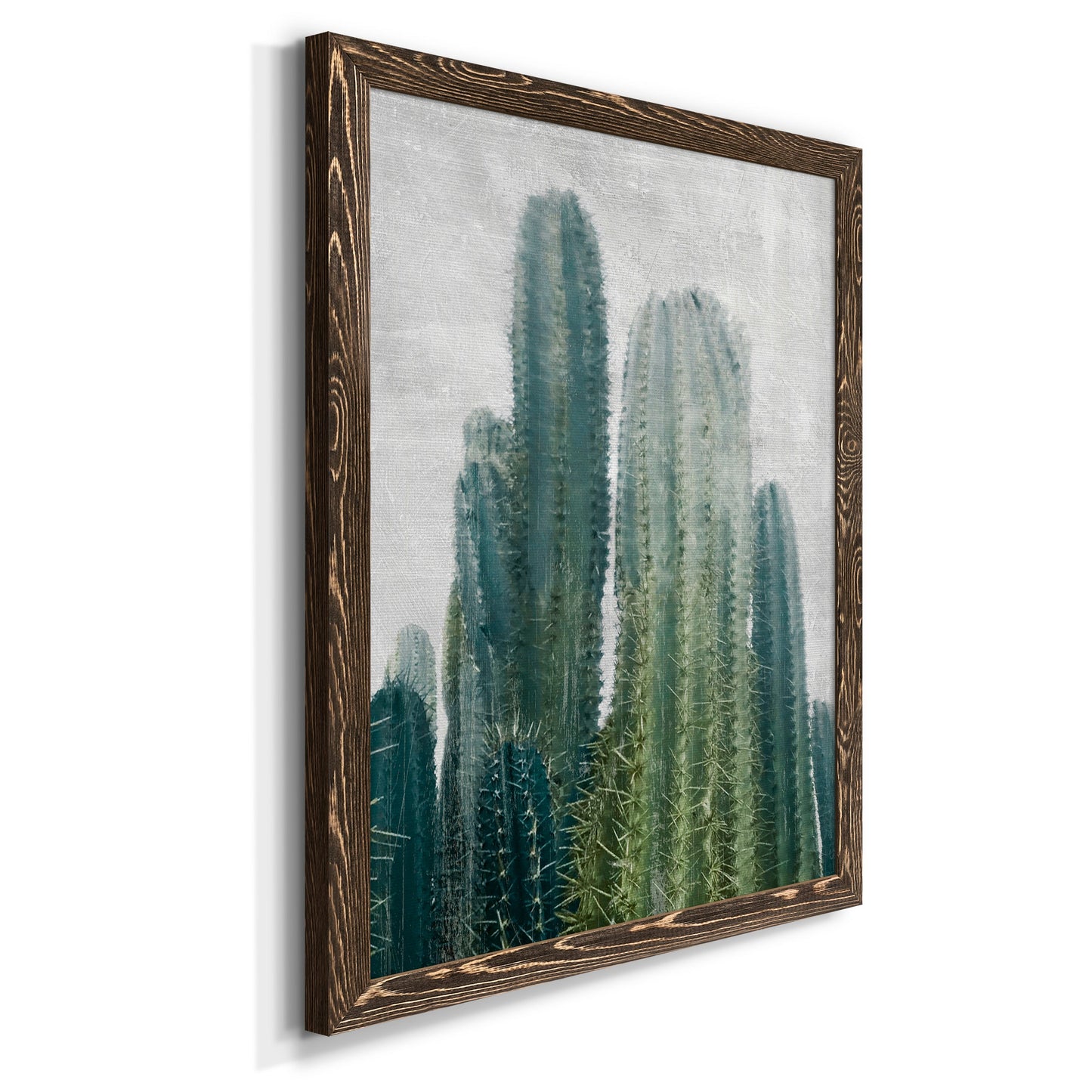 Aruba Cacti II - Barnwood Framed Canvas Print