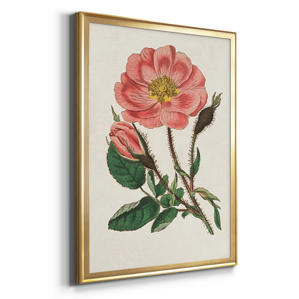 Pink Floral Mix IX - Modern Framed Canvas Print
