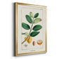 Turpin Tropical Botanicals V - Modern Framed Canvas Print