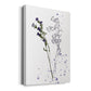 Botany Flower II Premium Gallery Wrapped Canvas - Ready to Hang