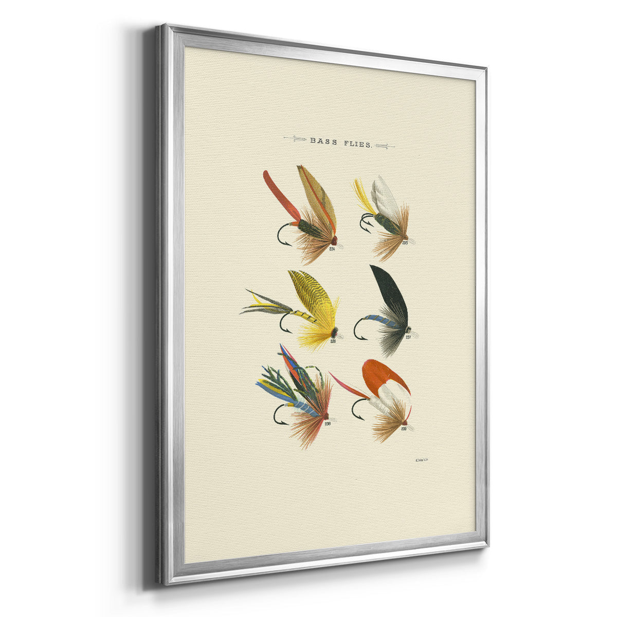 Bass Flies I - Modern Framed Canvas Print