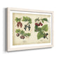 Kitchen Fruits III-Premium Framed Print - Ready to Hang