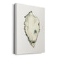 Neutral Oyster Study IV  Premium Gallery Wrapped Canvas - Ready to Hang