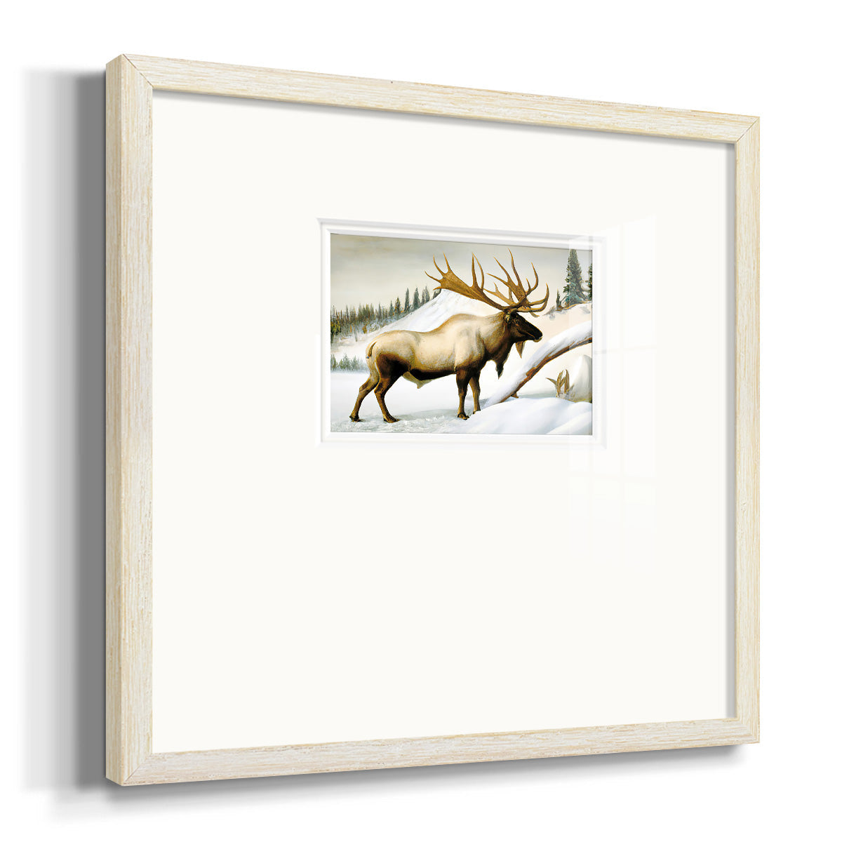 Snow Elk Premium Framed Print Double Matboard