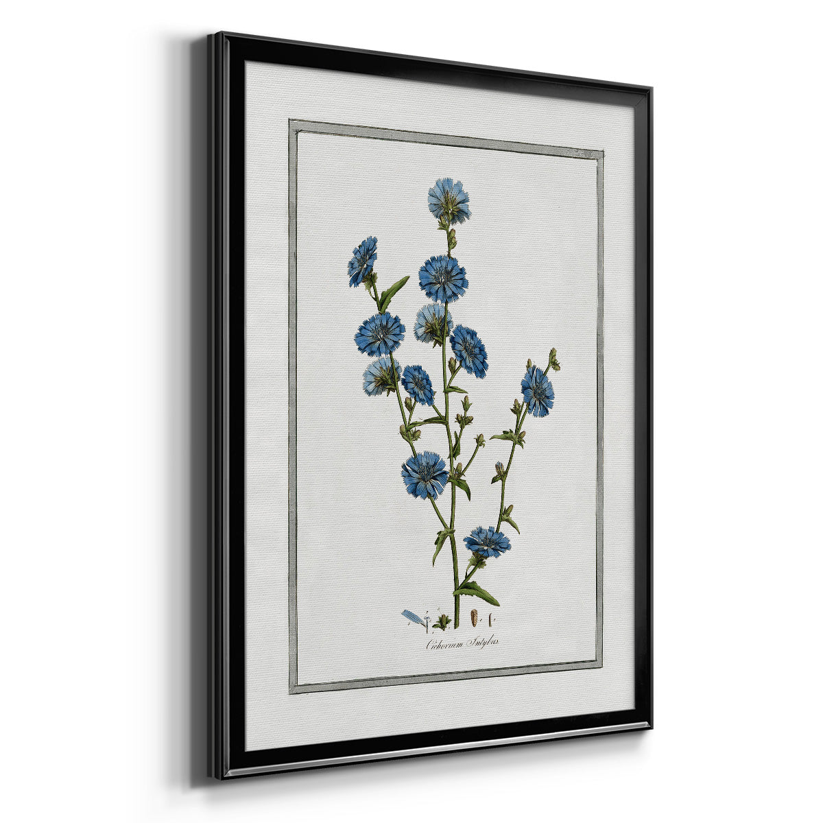 Soft Botanical I - Modern Framed Canvas Print