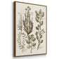 Sepia Botanical Journal VI - Framed Premium Gallery Wrapped Canvas L Frame 3 Piece Set - Ready to Hang