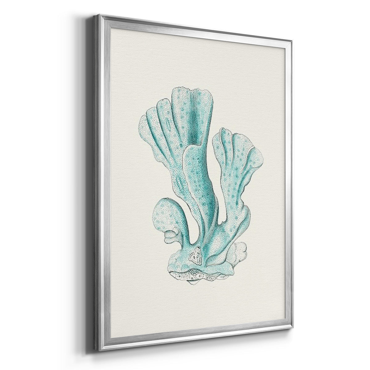 Antique Coastal Coral XI - Modern Framed Canvas Print