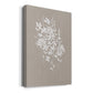 Delicate Botanicals I - Canvas Art Print
