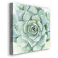 Verdant Succulent I-Premium Gallery Wrapped Canvas - Ready to Hang