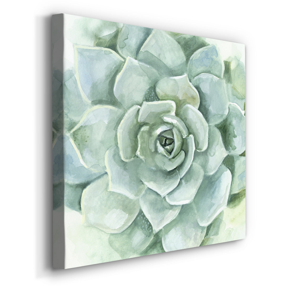 Verdant Succulent I-Premium Gallery Wrapped Canvas - Ready to Hang