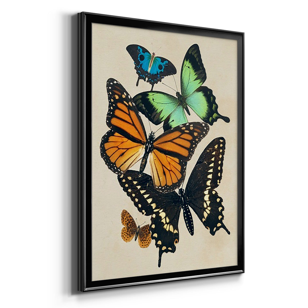 Collaged Butterflies I - Modern Framed Canvas Print