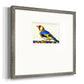 Blue Gold Finch Premium Framed Print Double Matboard