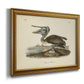 Audubons Brown Pelican - Ornate Framed Canvas Print