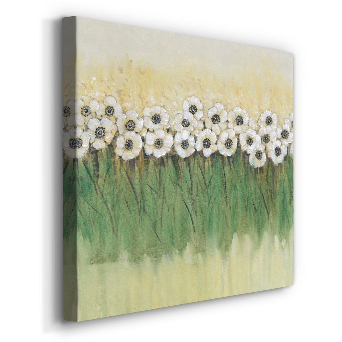 Rows of Flowers II - Canvas Art Print