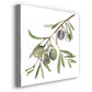 Olive Branch I - Canvas Art Print