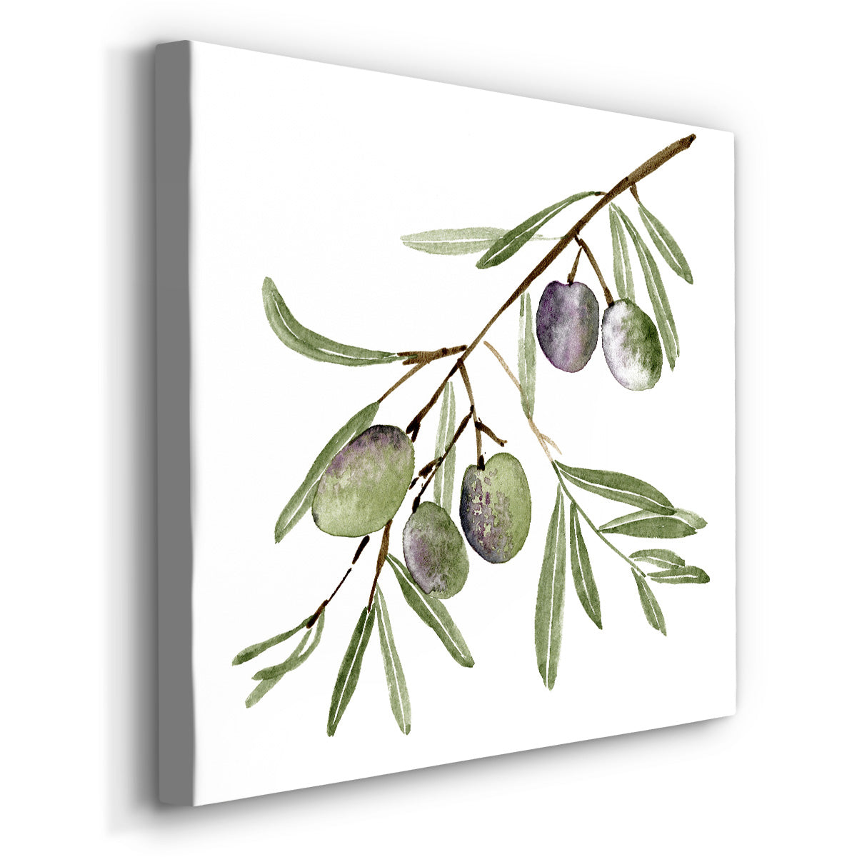 Olive Branch I - Canvas Art Print