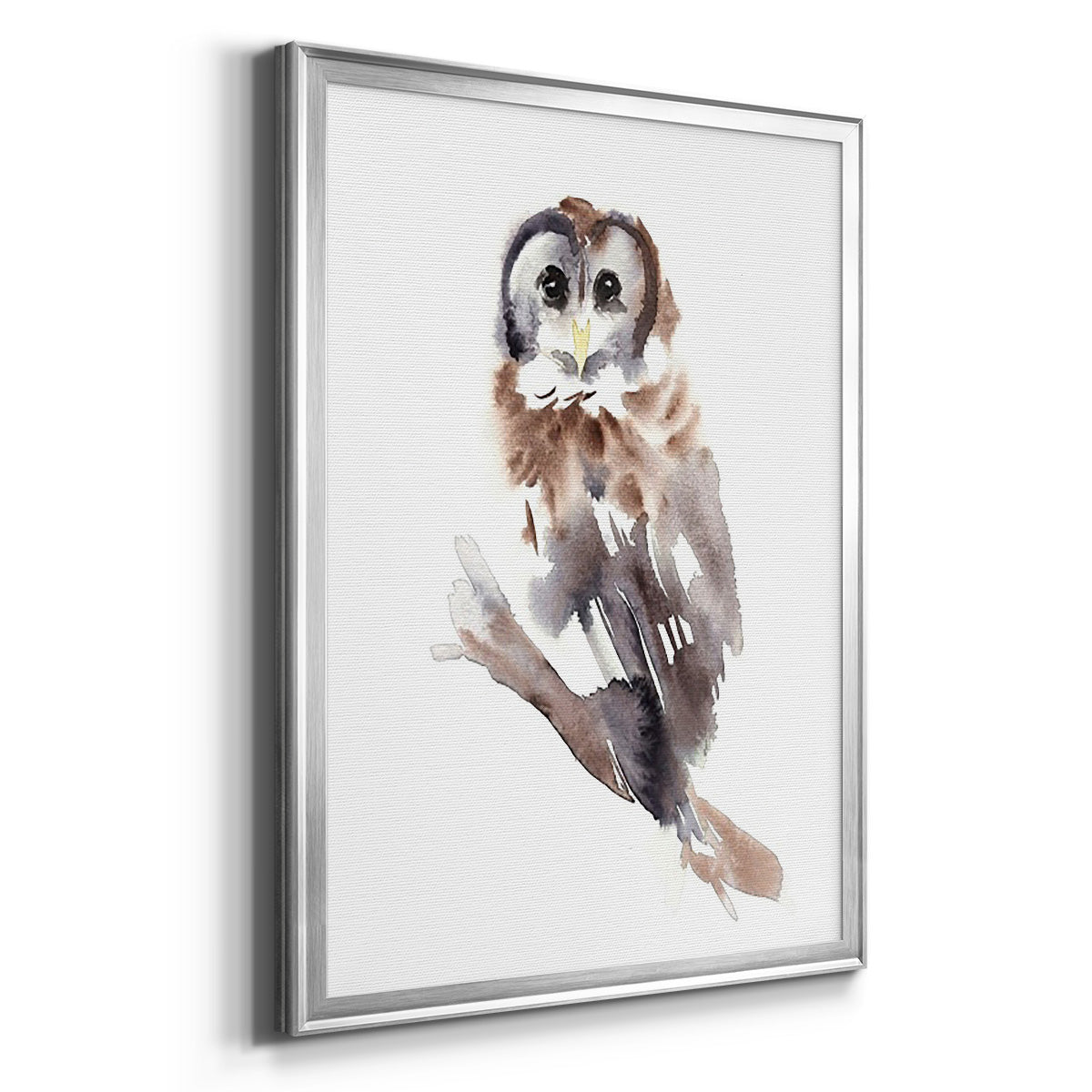 Barred Owl Impressions II - Modern Framed Canvas Print