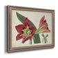 Amaryllis Splendor I Premium Framed Canvas- Ready to Hang