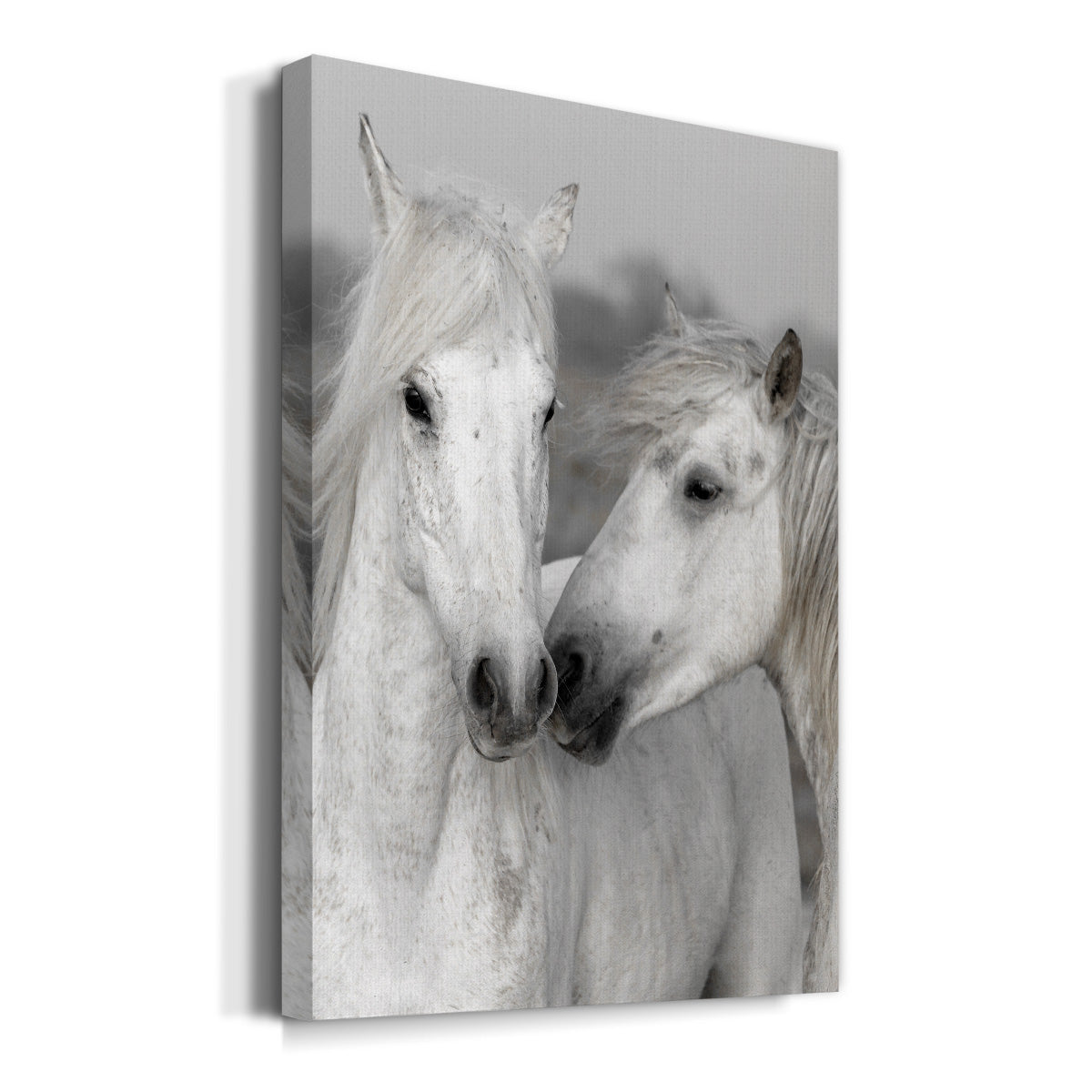 Affection I Premium Gallery Wrapped Canvas - Ready to Hang