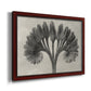 Vintage botanical plant study photograph by Karl Blossfeldt printed on canvas in an ornate cherry burl wood frame.