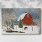 Silver Fir Promise - Canvas Art Print