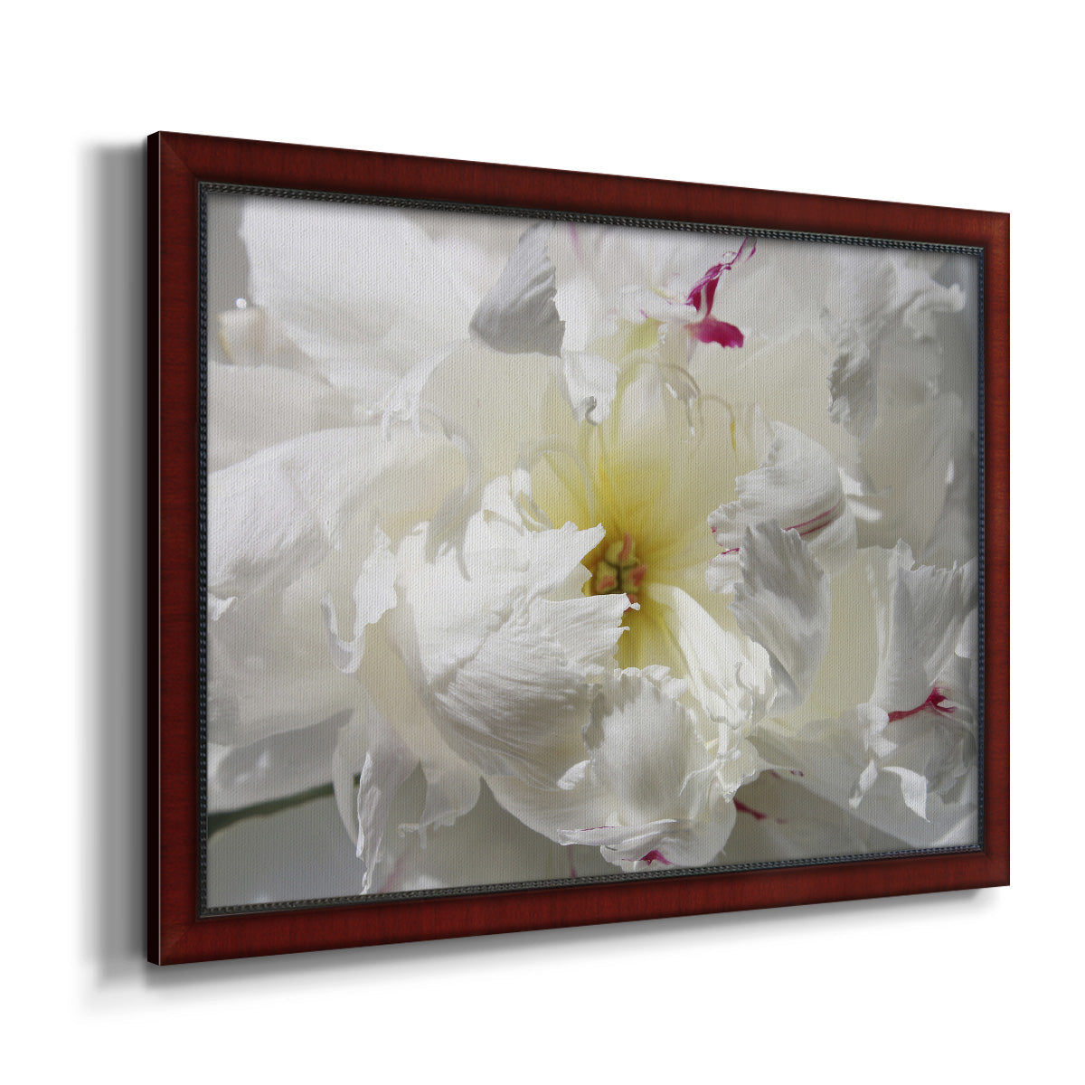 Breathless II Premium Framed Canvas- Ready to Hang