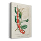 Turpin Tropical Botanicals VIII Premium Gallery Wrapped Canvas - Ready to Hang