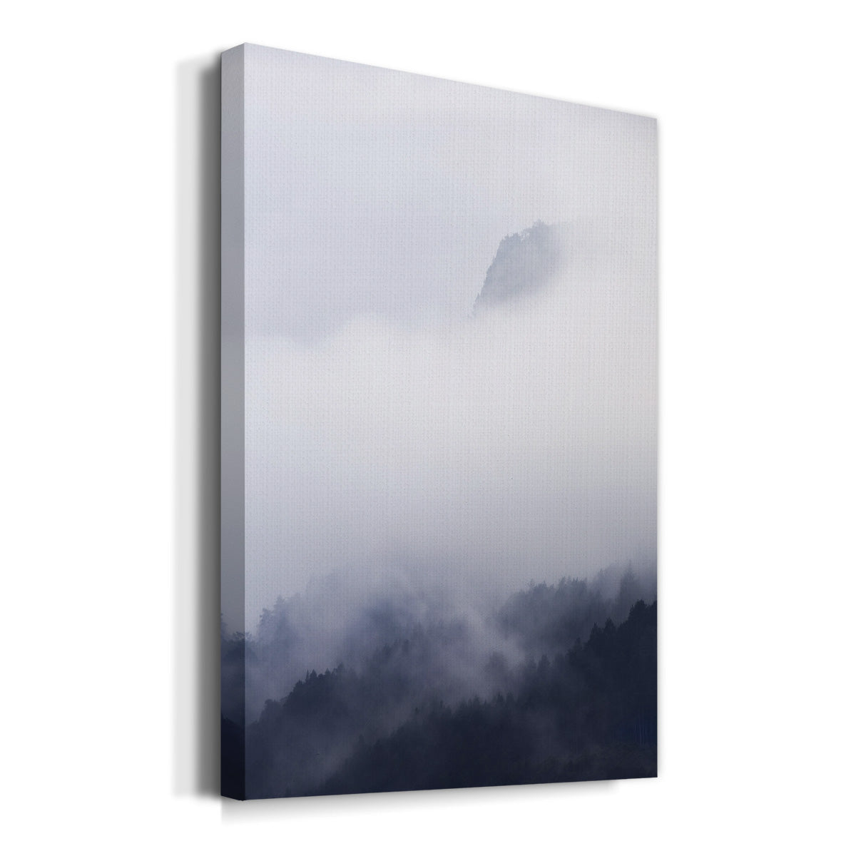 Above the Clouds - Canvas Art Print