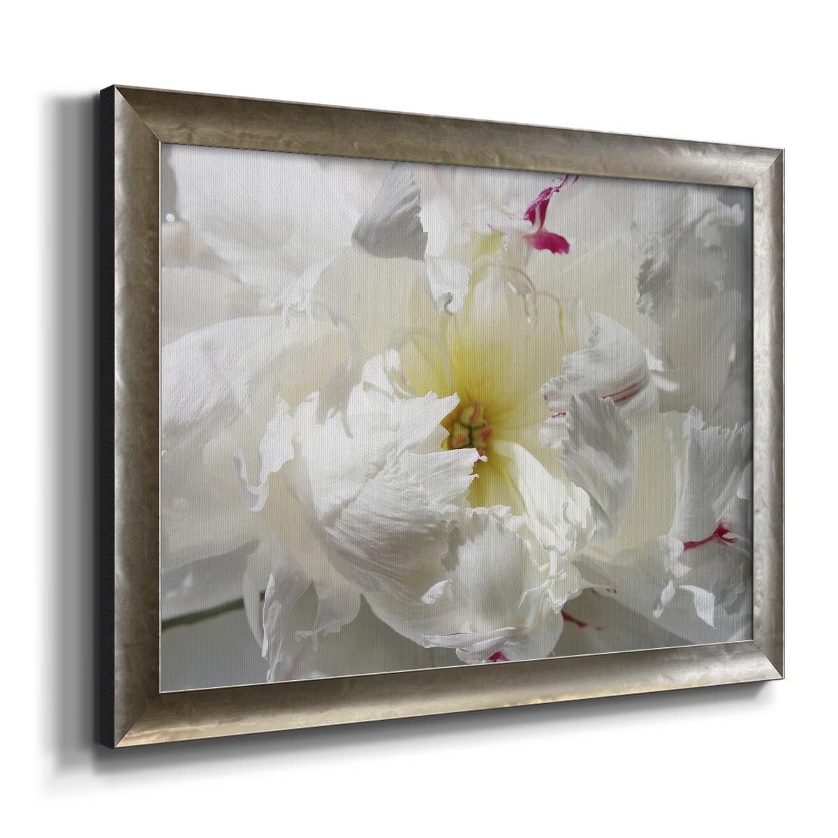 Breathless II Premium Framed Canvas- Ready to Hang