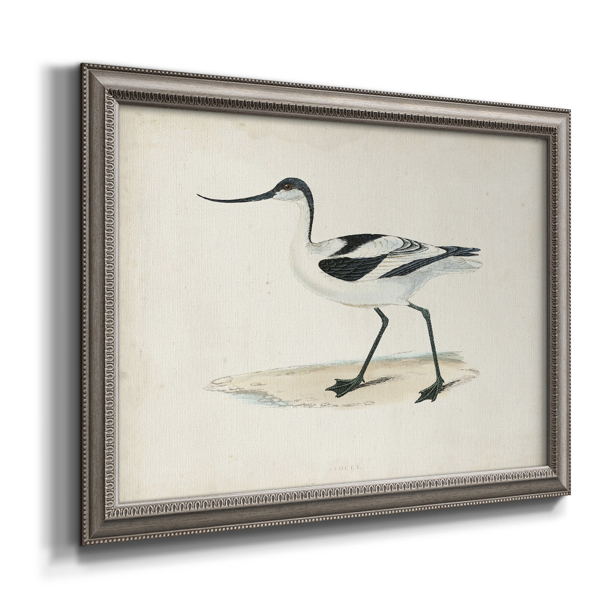 Morris Sandpipers IV Premium Framed Canvas- Ready to Hang