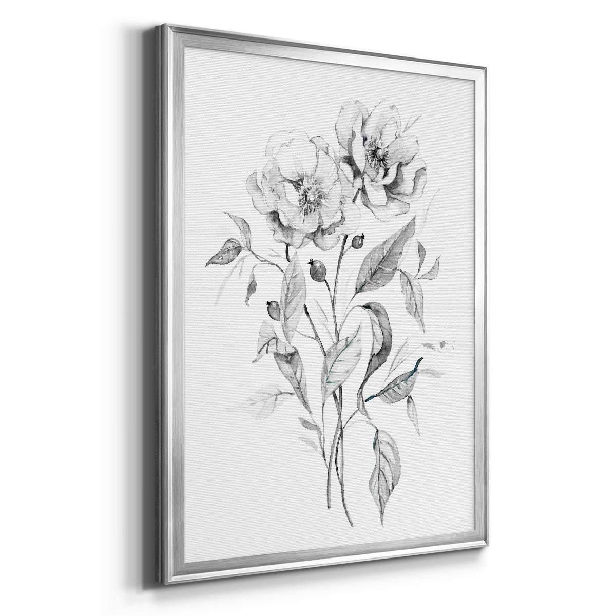 Wild Roses Sketch - Modern Framed Canvas Print