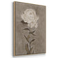 Pretty as a Peony I  -  Framed Canvas Print