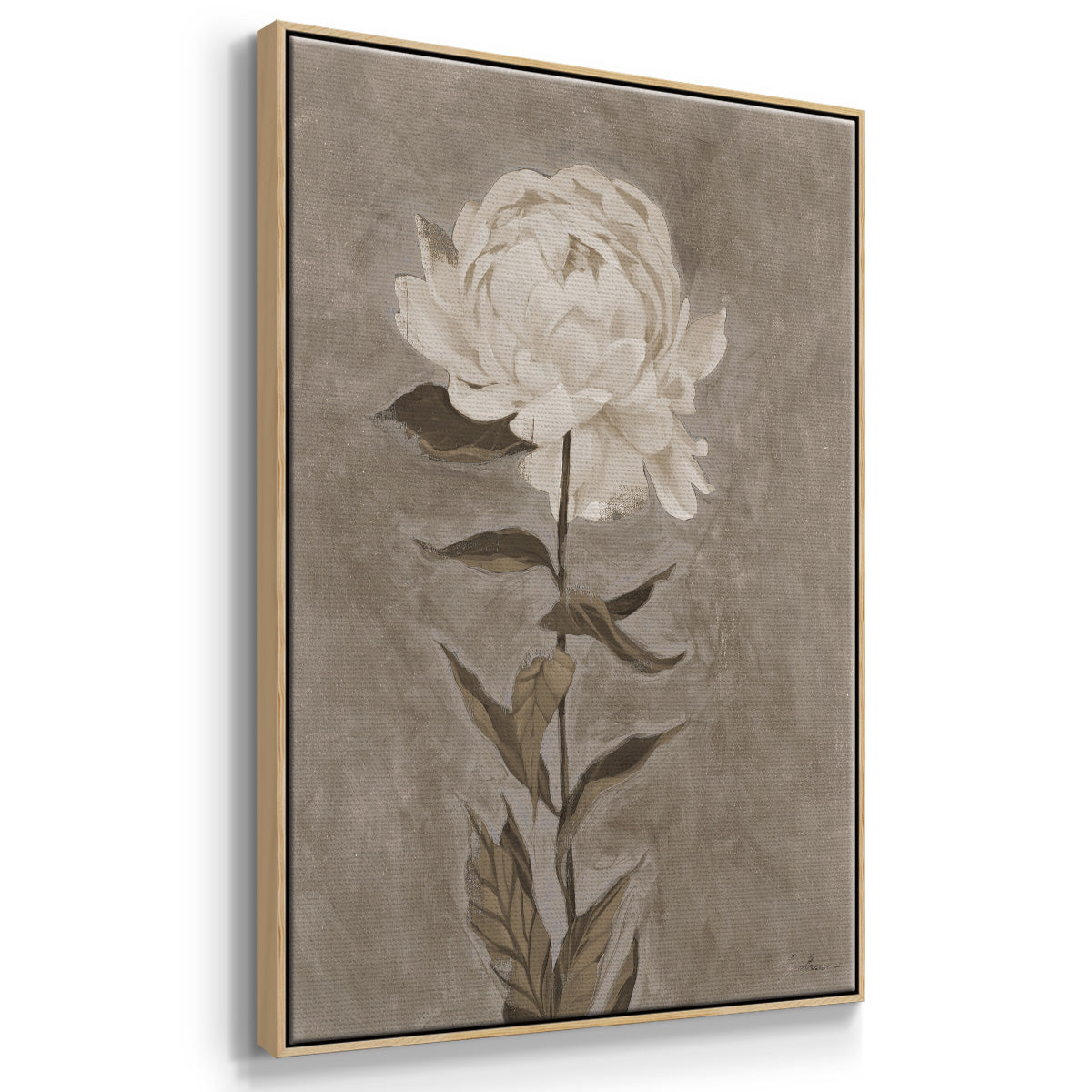 Pretty as a Peony I  -  Framed Canvas Print
