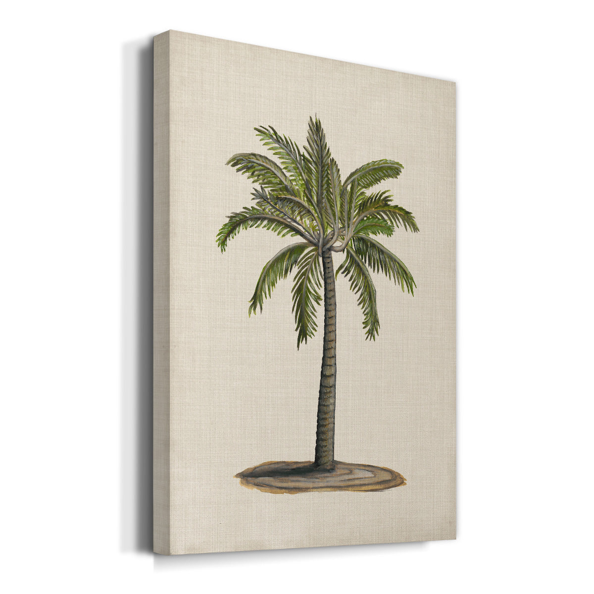 UA CH British Palms I Premium Gallery Wrapped Canvas - Ready to Hang