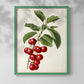 Antique Fruit II - Restickable Framed Art Print
