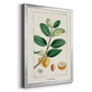 Turpin Tropical Botanicals V - Modern Framed Canvas Print