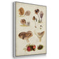 Mushroom Species I - Framed Premium Gallery Wrapped Canvas L Frame 3 Piece Set - Ready to Hang