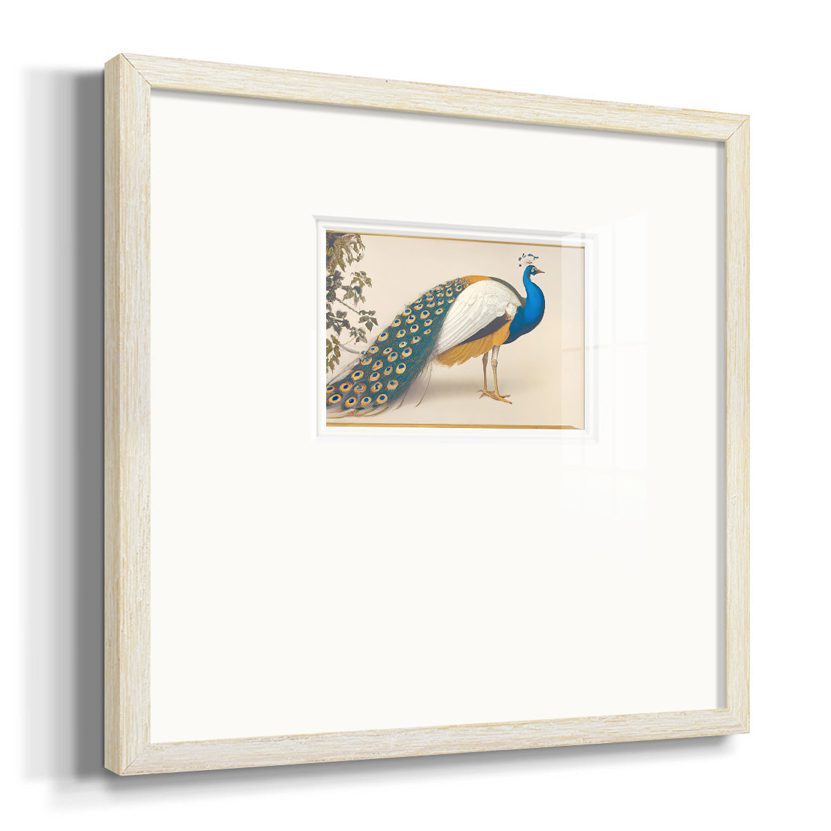 Golden Peacock III Premium Framed Print Double Matboard