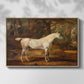 Grey Arabian Stallion, Property of Sir Watkin Williams-Wynn, c. 1817 - Floater Framed Canvas Print