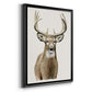 Handsome Whitetail II - Modern Framed Canvas Print