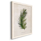 Palm Botanical II - Premium Canvas Framed in Barnwood - Ready to Hang