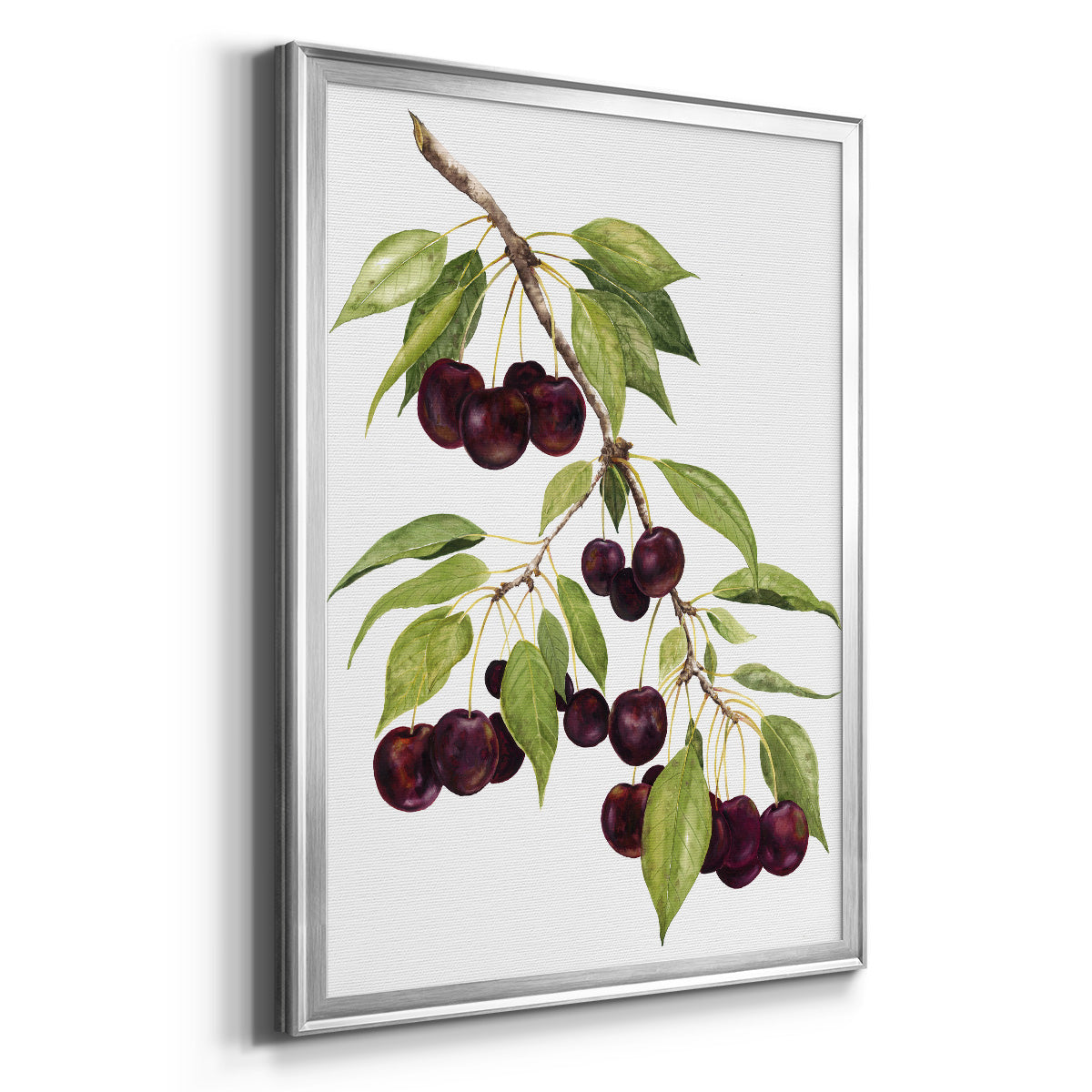 Watercolor Cherries - Modern Framed Canvas Print